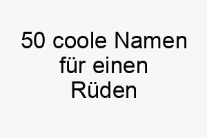 50 coole namen fuer einen rueden 28498 1