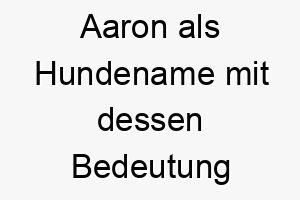 aaron als hundename mit dessen bedeutung 16894