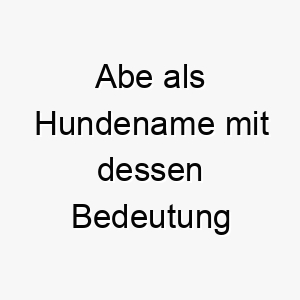 abe als hundename mit dessen bedeutung 16895