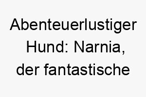 abenteuerlustiger hund narnia der fantastische begleiter 23162