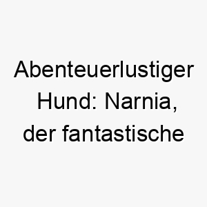 abenteuerlustiger hund narnia der fantastische begleiter 23162