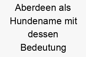 aberdeen als hundename mit dessen bedeutung 17014