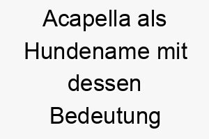 acapella als hundename mit dessen bedeutung 17259