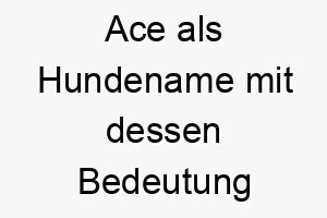 ace als hundename mit dessen bedeutung 2 17261