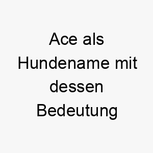 ace als hundename mit dessen bedeutung 2 17261