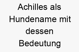 achilles als hundename mit dessen bedeutung 2 17263