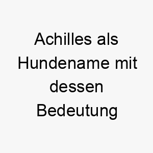 achilles als hundename mit dessen bedeutung 2 17263