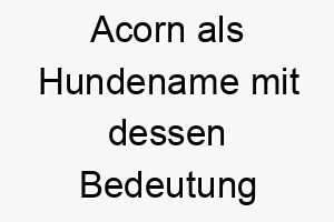 acorn als hundename mit dessen bedeutung 17017