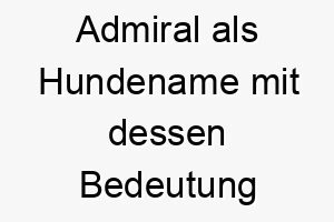 admiral als hundename mit dessen bedeutung 17018