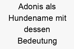 adonis als hundename mit dessen bedeutung 2 17020