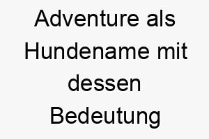 adventure als hundename mit dessen bedeutung 17022