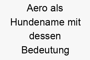 aero als hundename mit dessen bedeutung 2 17000