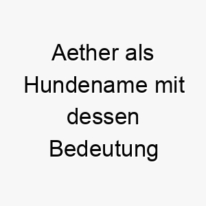 aether als hundename mit dessen bedeutung 17267