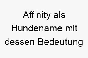 affinity als hundename mit dessen bedeutung 2 17268