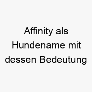 affinity als hundename mit dessen bedeutung 2 17268