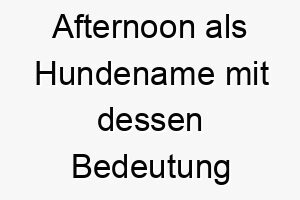 afternoon als hundename mit dessen bedeutung 17269