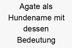 agate als hundename mit dessen bedeutung 17270