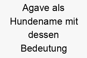 agave als hundename mit dessen bedeutung 17271