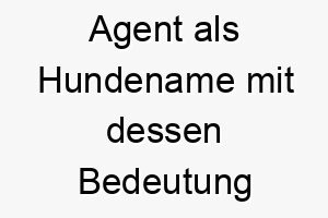 agent als hundename mit dessen bedeutung 2 17272