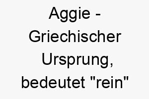 aggie griechischer ursprung bedeutet rein oder heilig bedeutung als hundename ein reiner und guter hund 12296