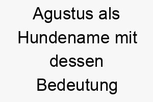 agustus als hundename mit dessen bedeutung 16905