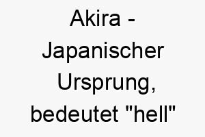 akira japanischer ursprung bedeutet hell oder klar bedeutung als hundename ein heller und kluger hund 12298