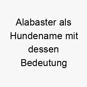 alabaster als hundename mit dessen bedeutung 17026