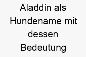 aladdin als hundename mit dessen bedeutung 16907