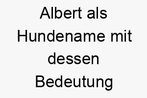 albert als hundename mit dessen bedeutung 16908