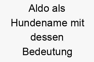 aldo als hundename mit dessen bedeutung 16909