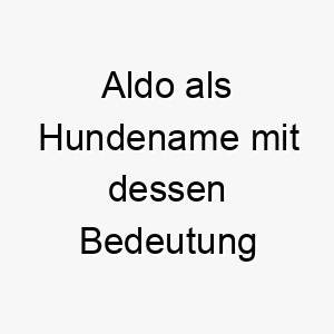 aldo als hundename mit dessen bedeutung 16909