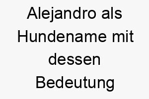 alejandro als hundename mit dessen bedeutung 17028