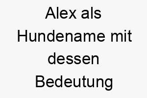 alex als hundename mit dessen bedeutung 16910