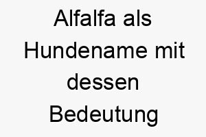 alfalfa als hundename mit dessen bedeutung 17002