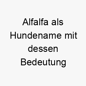 alfalfa als hundename mit dessen bedeutung 17002