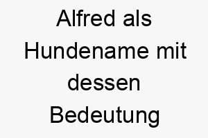 alfred als hundename mit dessen bedeutung 16912