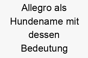 allegro als hundename mit dessen bedeutung 17030