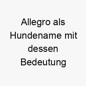 allegro als hundename mit dessen bedeutung 17030