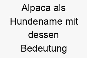 alpaca als hundename mit dessen bedeutung 17032