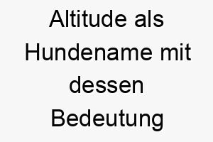 altitude als hundename mit dessen bedeutung 17035