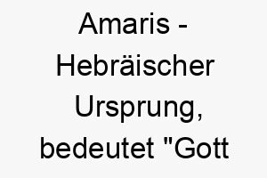 amaris hebraeischer ursprung bedeutet gott hat gesprochen bedeutung als hundename ein weiser ehrwuerdiger hund 12420