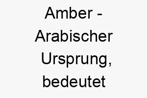 amber arabischer ursprung bedeutet edelstein bedeutung als hundename ein kostbarer und schoener hund 12304