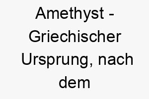 amethyst griechischer ursprung nach dem violetten edelstein benannt bedeutung als hundename ein wertvoller schoener hund 12408