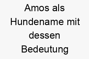 amos als hundename mit dessen bedeutung 16917