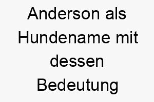 anderson als hundename mit dessen bedeutung 17042