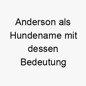 anderson als hundename mit dessen bedeutung 17042