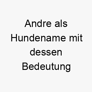 andre als hundename mit dessen bedeutung 16918