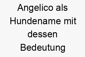 angelico als hundename mit dessen bedeutung 17046