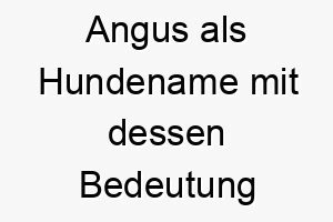 angus als hundename mit dessen bedeutung 16919