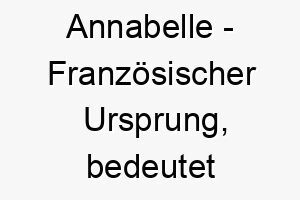 annabelle franzoesischer ursprung bedeutet liebenswuerdige schoenheit bedeutung als hundename ein schoener freundlicher hund 12373